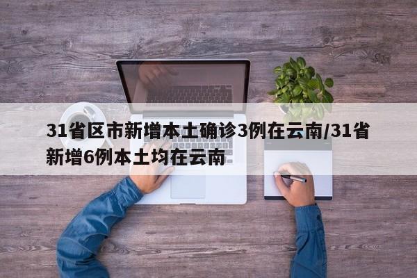 31省区市新增本土确诊3例在云南/31省新增6例本土均在云南